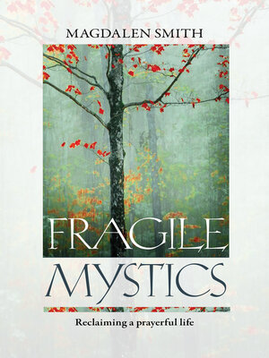 cover image of Fragile Mystics